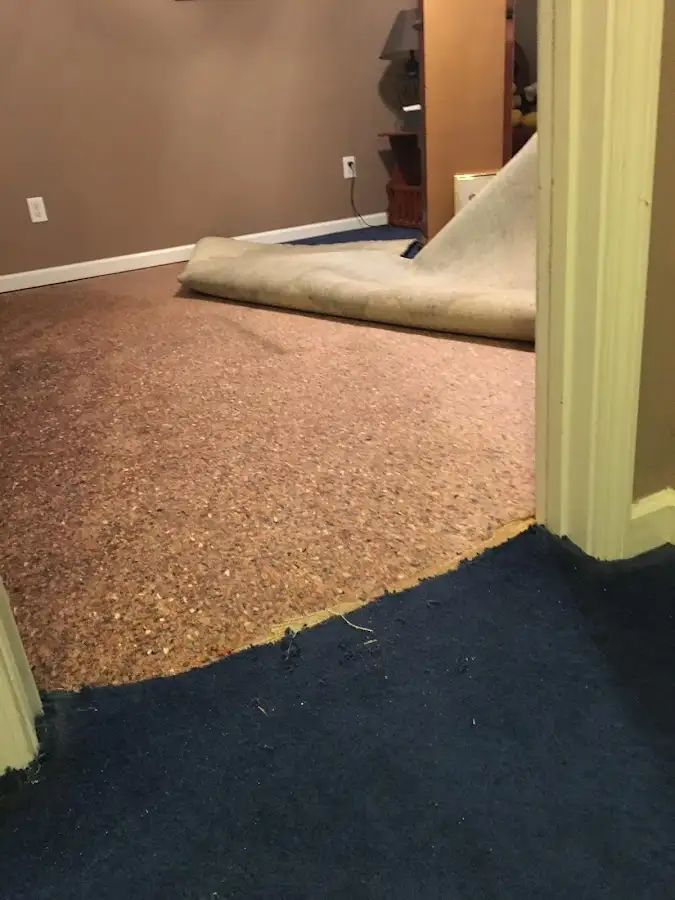 Carpet pad removal revealing water damage during Water Mitigation Services in Rockwood