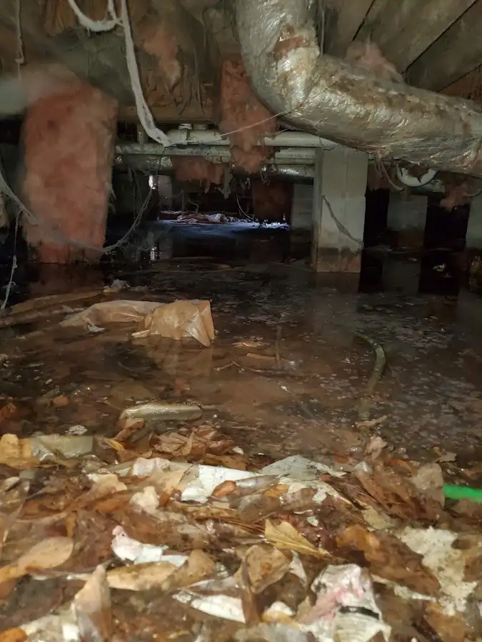 Crawl space flood assessment for Commercial Water Damage Restoration in Rockwood