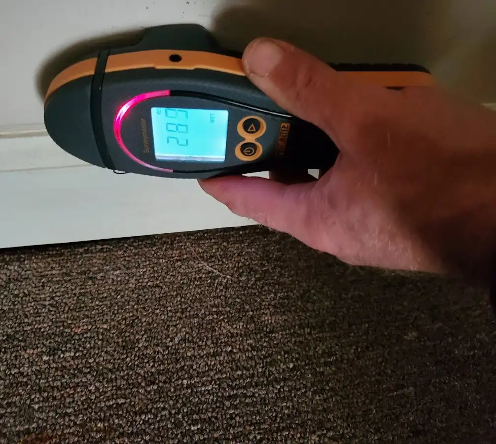Moisture detection at baseboard during Burst Pipe Cleanup in Rockwood